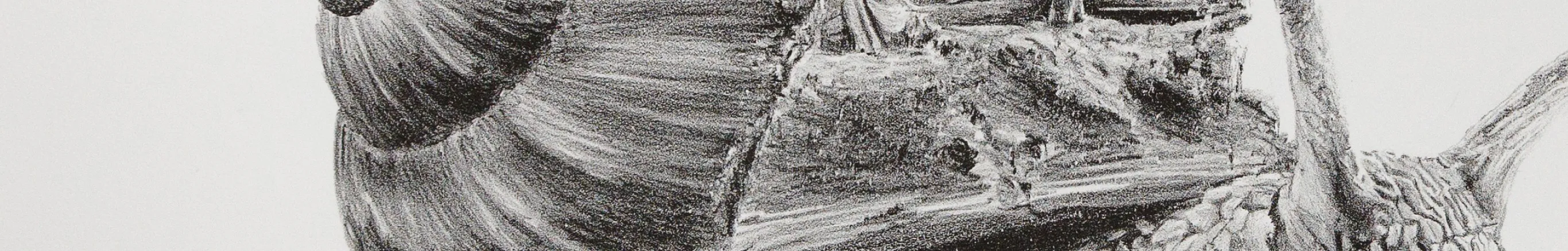 Detail of MURMURE's Precarious Habitat, a lithograph: the spiralled shell of a snail drawn in dense, grainy marks.