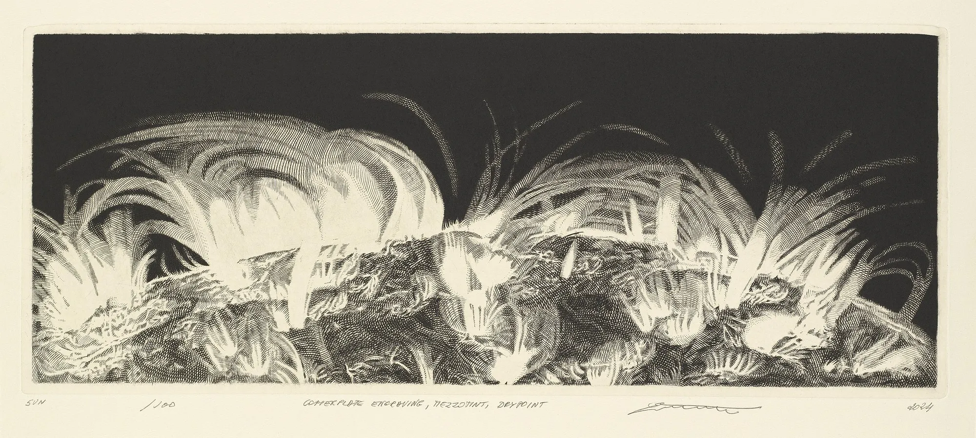 A wide engraving of solar flares rising off a churning surface, white cross-hatched forms against a solid black sky.