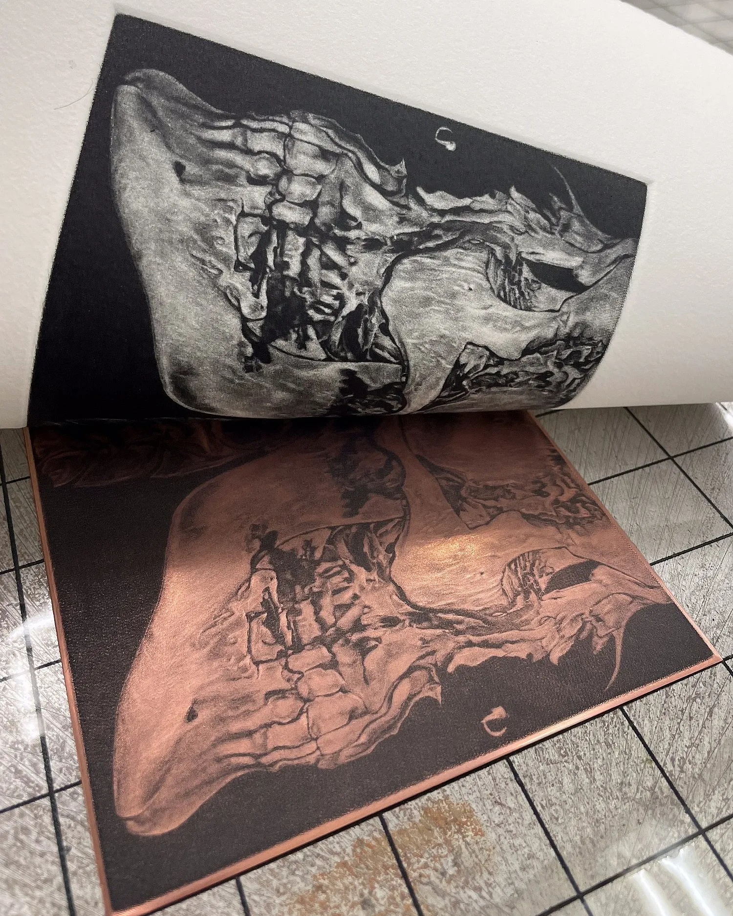 A sheet of damp paper being peeled back from an inked copper plate on a press bed, the printed skull image on the paper above and the plate still holding ink below.