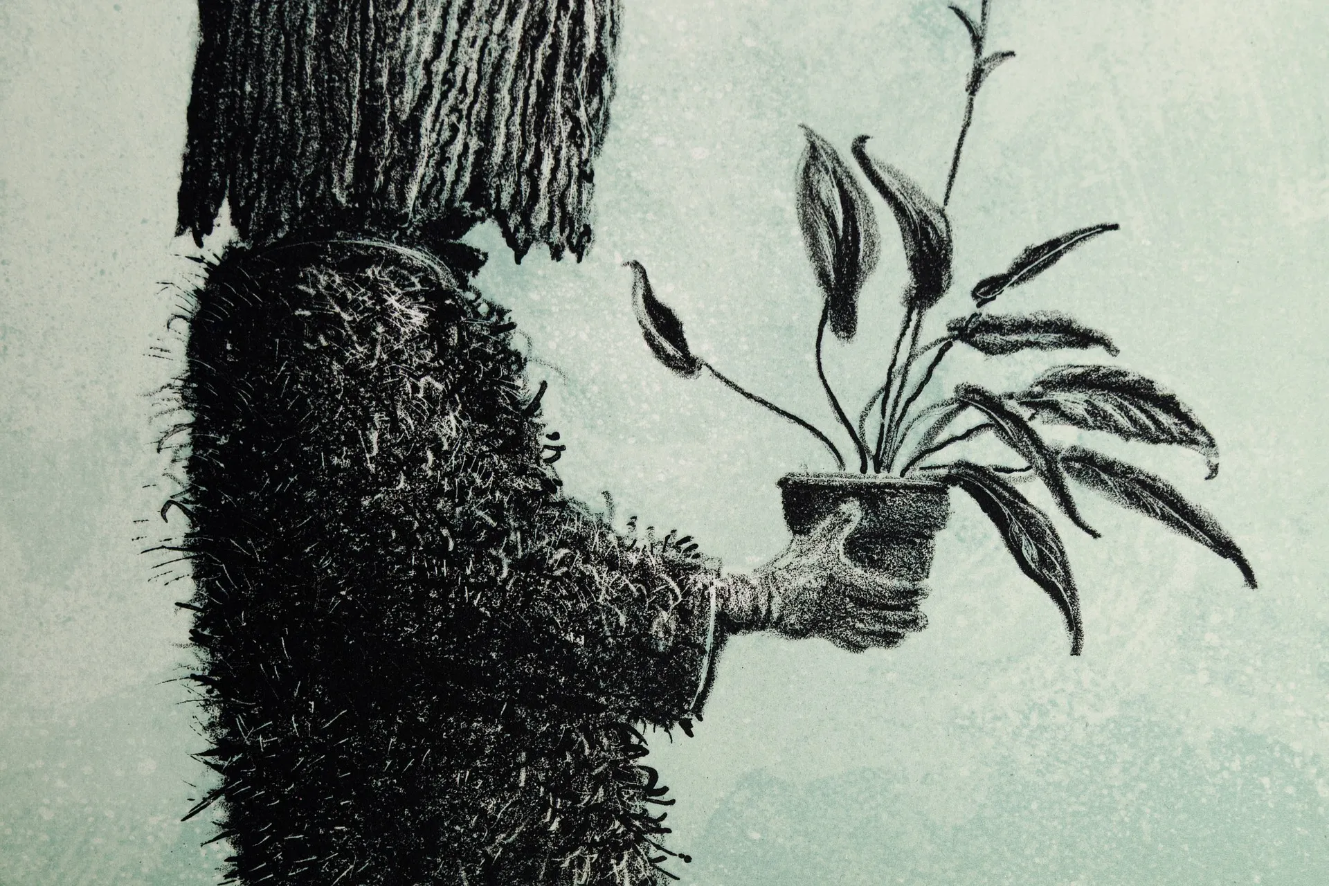 A detail of a green-toned lithograph: a figure in a shaggy coat holding out a potted plant.